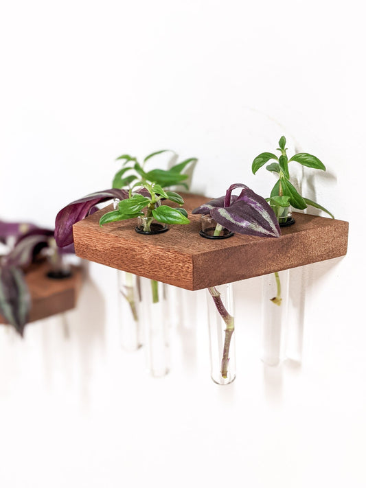 Trapezoid Propagation Station Shelf for Cuttings