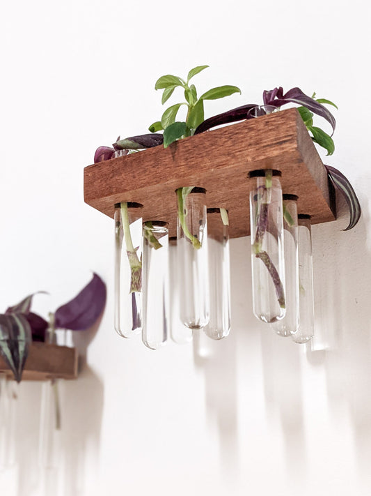 Rhombus Propagation Station Shelf for Cuttings
