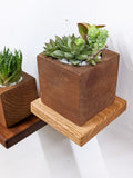 Small Floating Wall Shelves Set for Plants & Decor
