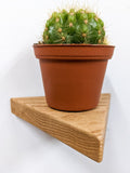 Small Triangle Oak Floating Display Shelf