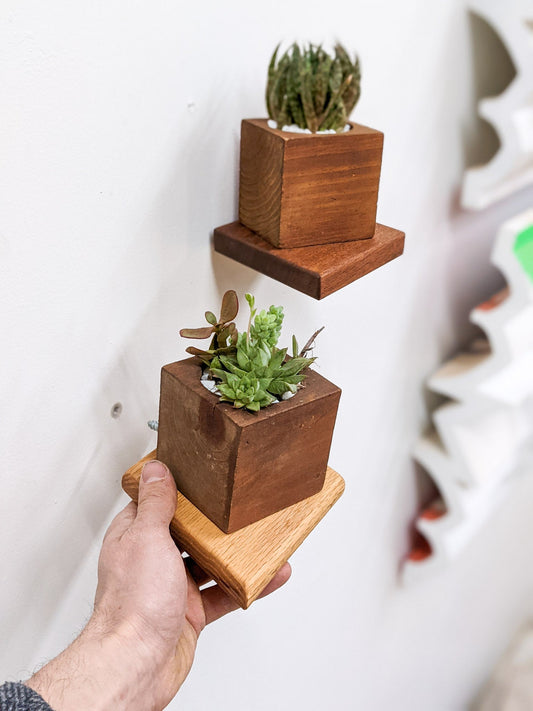 Small Rhombus Oak Floating Display Shelf
