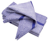 Blue Cloth Napkins Set of 4