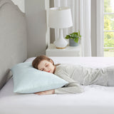Memory Foam Pillow with Bamboo Cover, Queen & King Pillows