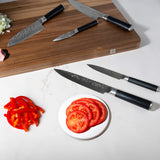 Hammered 5-Piece Knife Set