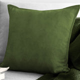 Vanessa Aloe Decorative Pillows