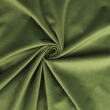 Vanessa Aloe Decorative Pillows