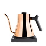 Rebrew Stagg EKG Electric Kettle