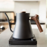 Fellow Stagg EKG Electric Kettle