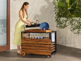 Transformer Outdoor Bar Cart - Panel Storage
