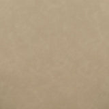 Vina Performance Vegan Leather Dining Chair