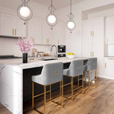 Lisa Pleated Performance Velvet Counter Stool by Inspire Me! Home Decor
