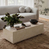Romy 47" Rectangular Coffee Table