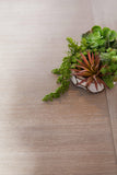 Tropea Extension Dining Table