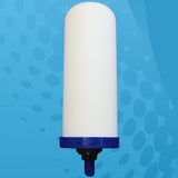 Everflow Diatom Granular Filter