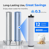 DSC2 Filter Replacement for DST Stainless Steel Under Sink Water Filter System