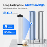 DSP1 Filter Replacement for DST Stainless Steel Under Sink Water Filter System