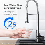 DSC2 Filter Replacement for DST Stainless Steel Under Sink Water Filter System