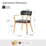 Sabina Modern Dining Chair with Wooden Legs & Metal Armrests ,Set of 2