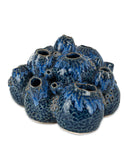 Sulawasi Blue Shells