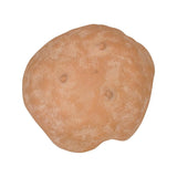 Mustard Seed Bowl