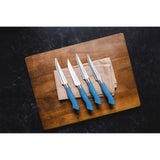 EcoCut 4 Piece Steak Knife Set, Blue