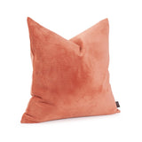 Pillow 20 x 20 Pana Terra - Down Alternative Insert