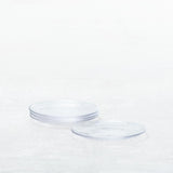Los Cabos Clear Salad Plate 8"
