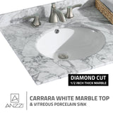 ANZZI Chateau 60" Double Vanity Set (36" H), Handmade Wood Cabinet, Carrara Marble Countertop, Soft-Close Storage, Paladin Protection Finish, Multiple Cabinet Colors