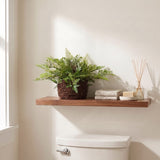 11" Artificial Mixed Fern Plant with Twig and Moss Basket