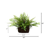 11" Artificial Mixed Fern Plant with Twig and Moss Basket