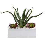12” Aloe and Echeveria Succulent Artificial Plant in White Planter