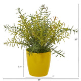 12” Rosemary Artificial Plant in Yellow Planter (Set of 2)
