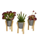 12” Succulent Artificial Plant in Tin Planter with Legs (Set of 3)