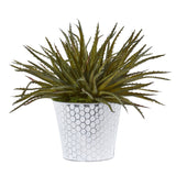 13” Aloe Artificial Plant in White Embossed Planter
