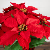 13" Artificial Poinsettia Arrangement in Red Wrapped Planter - Set of 2