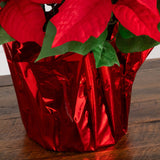 13" Artificial Poinsettia Arrangement in Red Wrapped Planter - Set of 2
