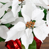 13" Artificial Poinsettia Arrangement in Red Wrapped Planter - Set of 2
