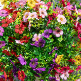 13" UV Daisy Flower Bush Plant (Indoor/Outdoor)- Set of 12