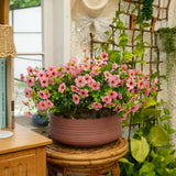 13" UV Daisy Flower Bush Plant (Indoor/Outdoor)- Set of 12