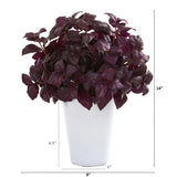 14” Basil Artificial Plant in White Planter