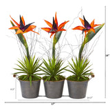 14” Bird of Paradise and Succulent Artificial Arrangement in Trio Metal Planter