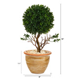 16” Boxwood Topiary Artificial Tree in Ceramic Planter (Indoor/Outdoor)