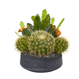 16” Mixed Cactus Artificial Plant in Decorative Bowl