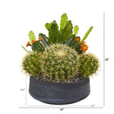 16” Mixed Cactus Artificial Plant in Decorative Bowl