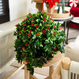 16” UV Resistant Artificial Holly Berry Christmas Plant (Indoor/Outdoor)