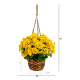 19” Geranium Hanging Basket UV Resistant (Indoor/Outdoor)