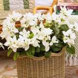 19" UV Resistant Artificial Bougainvillea Bush (Indoor/Outdoor) - Set of 4
