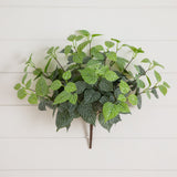 19" UV Resistant Artificial Fittonia Bush (Indoor/Outdoor) - Set of 3