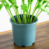 2' UV Resistant Artificial Tulip Plant (Indoor/Outdoor)