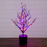 2' Pre-Lit Artificial Halloween Black Spooky Twig Tree with 60 Orange & Purple Copper Wire String LED Lights